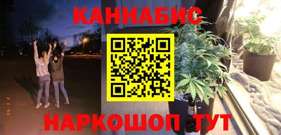 прущие грибы Камышлов