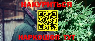 прущие грибы Камышлов