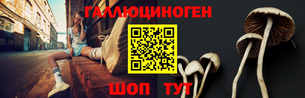 Галлюциногенные грибы мухоморы Ярцево